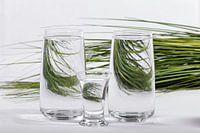 De l'herbe dans l'eau