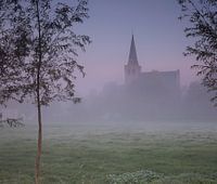 Mist