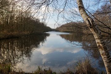 weerribben in de herfst van ChrisWillemsen