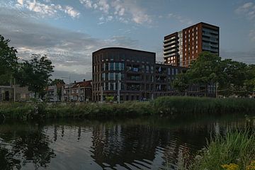 Maître de port de Piushaven