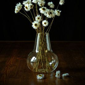 Getrocknete Blumen von Vere Maagdenberg