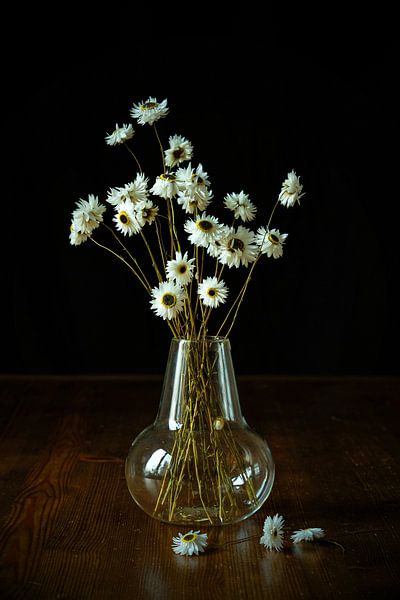 Getrocknete Blumen von Vere Maagdenberg