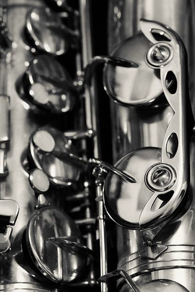 The Saxophone - Monochrome Version by Rolf Schnepp