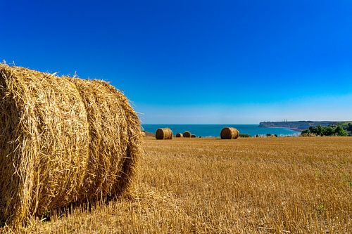 Hay bale