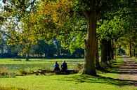 Zullen we...? van Willem Laros | Reis- en landschapsfotografie thumbnail