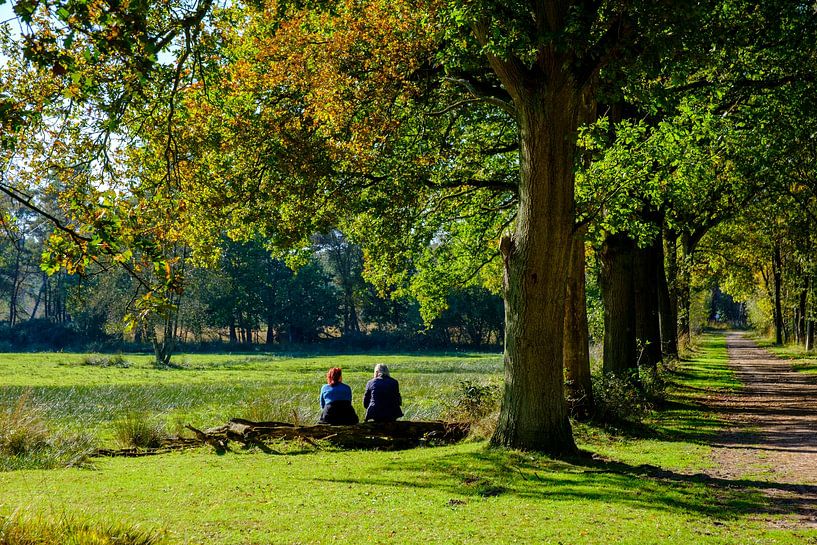 Zullen we...? van Willem Laros | Reis- en landschapsfotografie