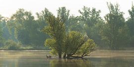 Flooded island. by René Jonkhout