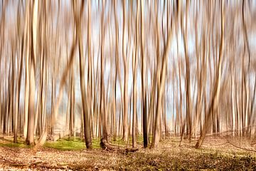 Forêt et mer sur Heiko Westphalen