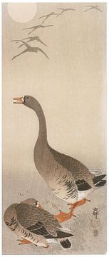 Ohara Koson - White-fronted Goose with Moon (edited) by Peter Balan