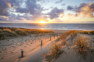 Beach, sea, sun and sand it's almost summer by Dirk van Egmond