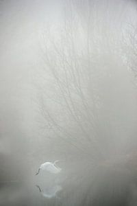 Grote zilverreiger in de mist van Erik van Velden