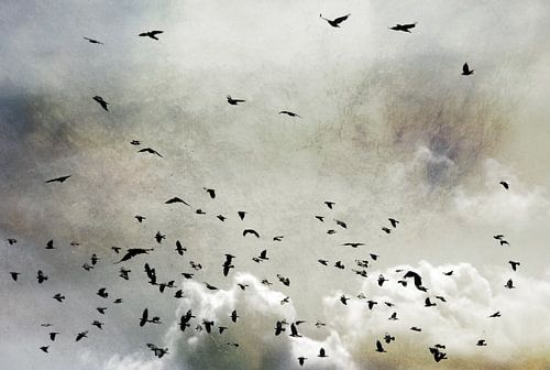 Wings (gesehen bei vtwonen)