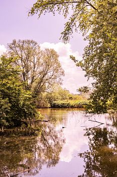 Lage Bergse Bos - Landscape no. 9