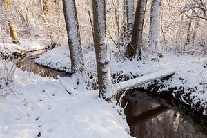 Snowy stream valley von Karla Leeftink