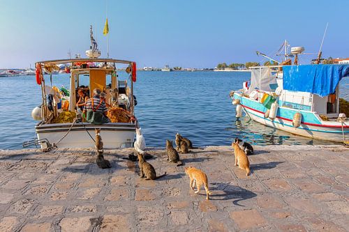 Port Pythagorion Samos