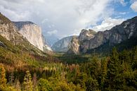 Yosemite National park by Robbie Veldwijk thumbnail