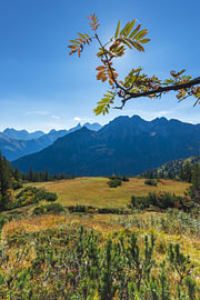 Mountains crowned by the sun