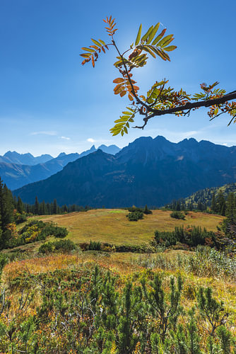 Des montagnes baignées de soleil