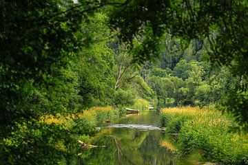 Uitzicht op de oevers van de Donau bij Fridingen in het Natuurpark Opper-Donau van BlattArt - Christine Horn