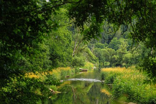 Uitzicht op de oevers van de Donau bij Fridingen in het Natuurpark Opper-Donau