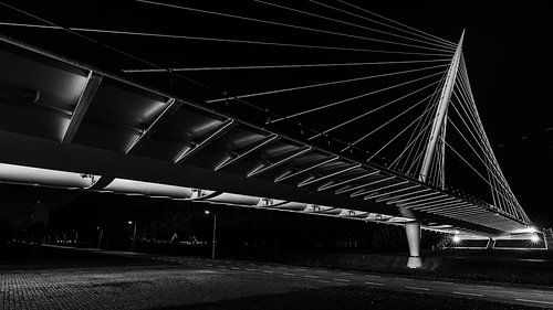 Schwarz-Weiß-Fotografie...die Harfe.