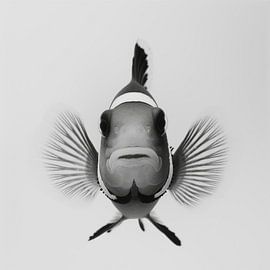 Clownfish by Poster Art Shop