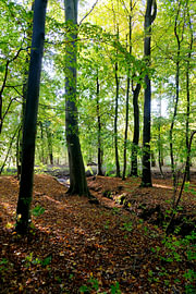 Autumn day