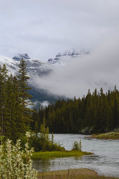 Bow rivier in de Rocky Mountains van Eline Huizenga
