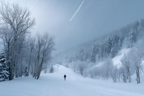 Stiltepad onder winterlucht - Fine Art minimalisme van BowiScapes - Fine Art Landschappen