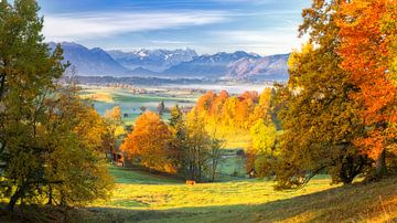 Autumn over Murnauer Moos with view to Zugspitze