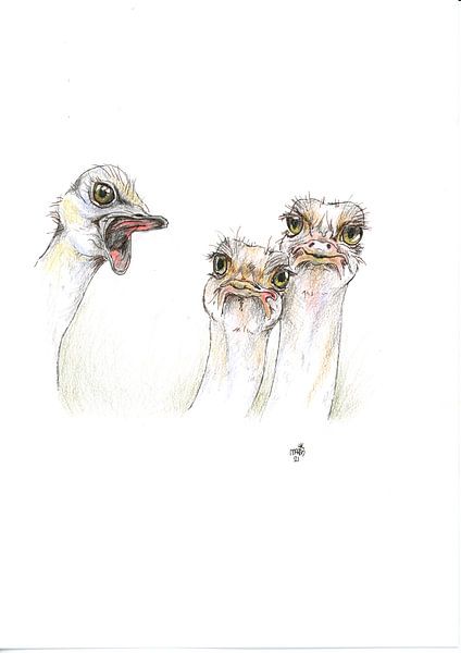 Order! by Marian van der Veen-Niemeijer