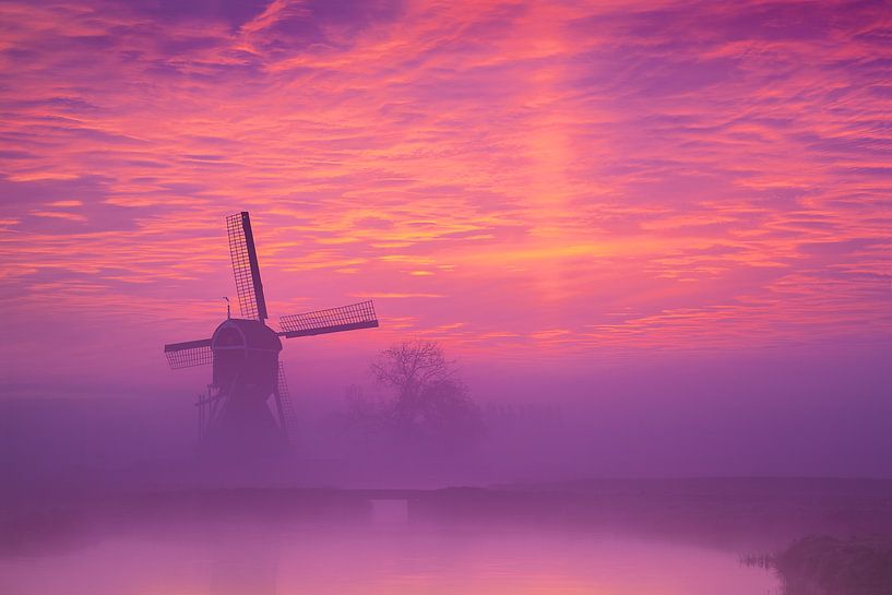 Lueur matinale par Halma Fotografie