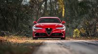 italian beauty