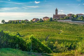Das Dorf Santo Stefano Canetto mit den Weinbergen der Langhe und der Kirche von Stefano Orazzini