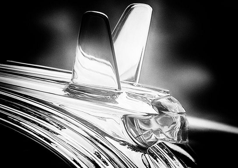 Le chef par Torfinn Johannessen