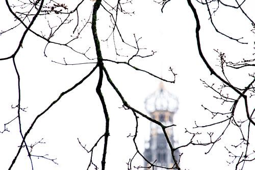 Tour de la Grote Sint Bavokerk à Haarlem, Pays-Bas