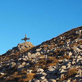 Thaneller Tirol von Miriam Schwarzfischer Fotografie