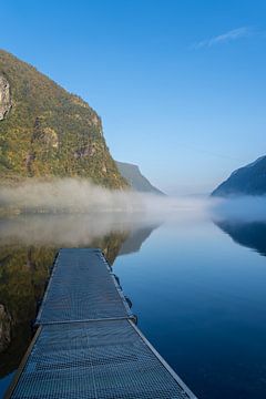 Durch den Nebel von Vogelvrij fotografie