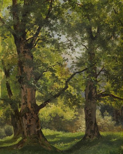 In the Woods