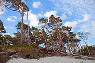 Ostsee: Darß - Weststrand von t.ART Miniaturansicht