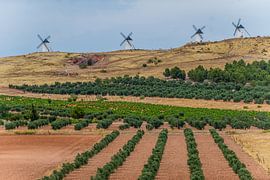 windmills by eric t'kindt