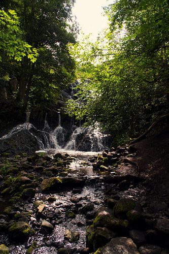 Kleine waterval in het bos met mos op stenen