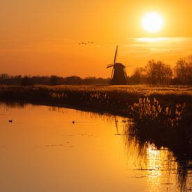 Zonsondergang in Friesland van Teuni's Dreams of Reality