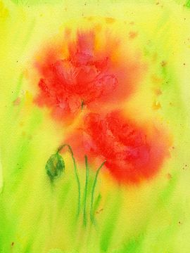 Papaver droom aquarel schilderij van Karen Kaspar