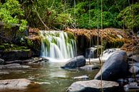 Kleine waterval in de Kabalebo rivier, Suriname van Marcel Bakker thumbnail