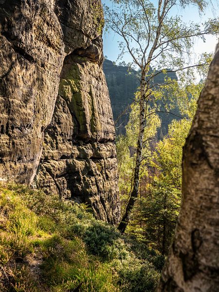 Königsweg, Saxon Switzerland - Großes Bärenhorn by Pixelwerk
