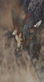 Giraffe dubbelprint sur Stephan Van Reisen