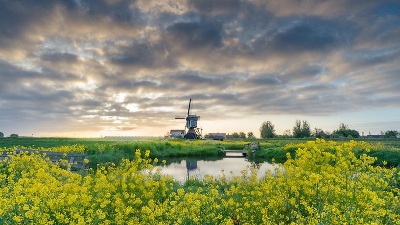 Hazerswoude-Dorp - Geremolen - De Blauwe Wip von Frank Smit Fotografie