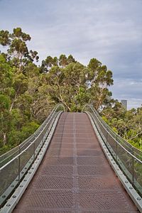 Der Lotterywest Federation Walkway