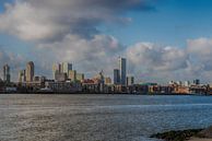 Skyline Rotterdam van Brian Morgan thumbnail